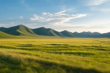 Expansive green fields and rolling hills under a clear blue sky at sunset
