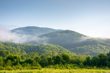 mountainous rural landscape of ukraine in summer. picturesque highland woods. grassy meadow on a...