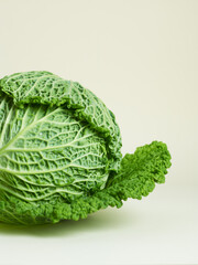 Savoy cabbage over beige background
