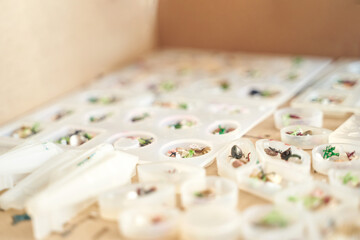 Close up of miniature figures on sculpting trays in a creative workshop setting.