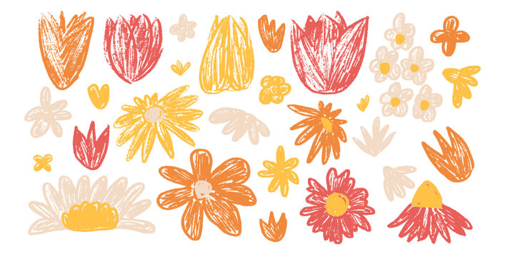 Flowers bud set. Spring tulip, daisy, chamomile and marguerite head plants doodle. Summer floral kids elements. Chalk or pastel style childish shape. Vector naive pencil illustration isolated on white