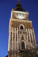 tower of the church. scenic view of city in the evening lights. landscape of the old town street. people like to walk along the historical part of the city.
