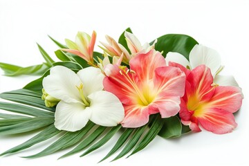 Fototapeta premium flower isolated on background