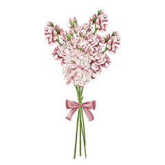 Bouquet of matiolla. Mono bouquet of pink flowers on long green stems tied with a pink bow Watercolor illustration without background. Vintage style. For postcards and congratulations Spring flowers