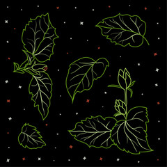 Set of hibiscus leaves and buds outlined in green on a black background. Minimalistic botanical design suitable for patterns, fabric prints, wallpapers, packaging, invitations, or eco-themed projects