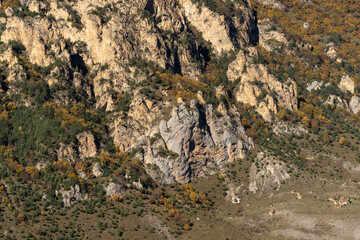 Kabardino-Balkaria. El-Tyubu. Rocky mountains with trees growing on their slopes glow in morning sun. Close-up. Chegem Gorge. Unique rocky ridge with steep cliffs against blue autumn sky.