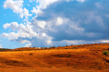 Landscape with a golden field under a partly cloudy sky. Contrast between the vibrant blue sky and the warm tones of the field creates a visually striking and serene scene