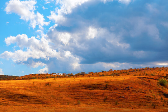 Landscape with a golden field under a partly cloudy sky. Contrast between the vibrant blue sky and the warm tones of the field creates a visually striking and serene scene