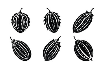 Bitter Melon (Momordica charantia) design, labeled silhouette vector illustration