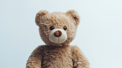 Fototapeta premium teddy bear isolated on background