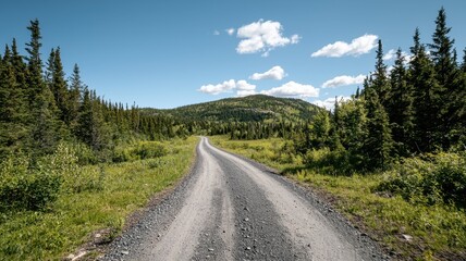 Fototapeta premium Scenic Gravel Road Winding Through Lush Green Forest Landscape Towards Mountain Under Blue Sky