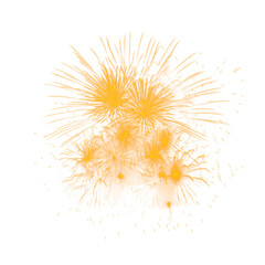 Dazzling golden firework burst with metallic shimmer, perfect for New Year’s celebrations