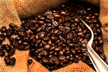 coffee beans in a bag