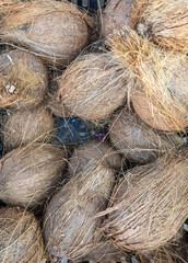 A grade solid dried coconuts for sale on the market.