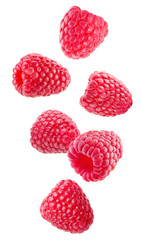 falling raspberries isolated on a white background
