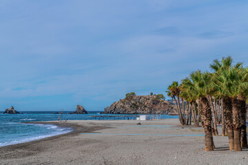 Palm trees Almunecar beach Spain Costa del Sol Andalusia