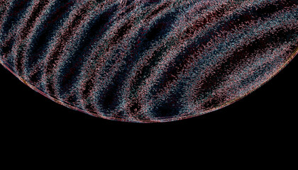 Abstract close-up of a textured shell pattern in the dark