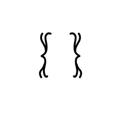 bracket ornament icon