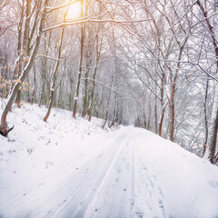 Obraz premium Astonishing view of winter road in the forest.