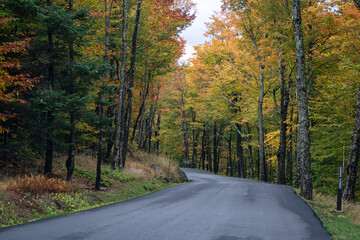 Fototapeta premium White Mountain National Forest, USA