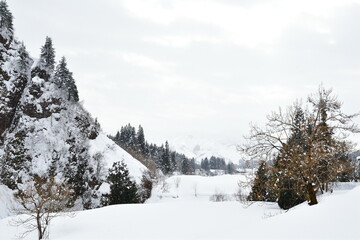 雪国イメージ（新潟県）