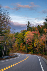 Fototapeta premium White Mountain National Forest, USA