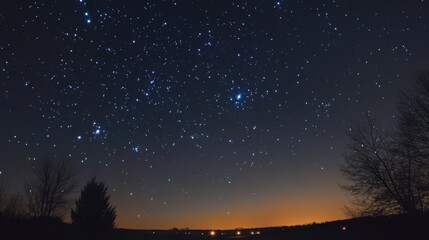 Naklejka premium Starry Night Sky Over Silhouetted Trees