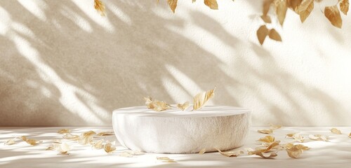 An abstract white stone podium with delicate leaf shadows, perfect for showcasing products in a 3D rendering