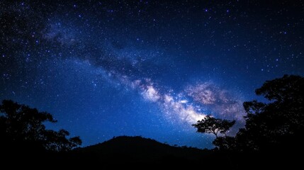 Fototapeta premium Milky Way Galaxy over Silhouetted Trees