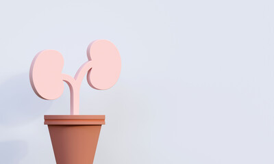 3D Rendering of a human kidney with copy space. Medical illustration