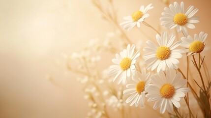White daisies bloom like scattered stars across an old paper's floral field
