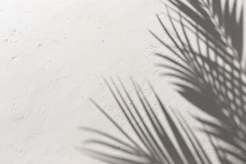 Obraz premium White plaster background with tropical palm leaves shadows. Copy space