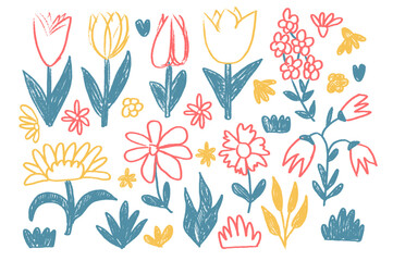 Flowers and leaves crayon drawn set. Spring tulip, daisy, chamomile and marguerite plants doodle. Summer floral kids floral shape. Vector pencil illustration isolated on white background.