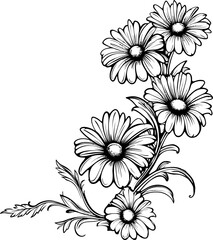 Daisy flower corner drawing