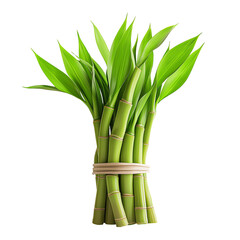 Fototapeta premium a bundle of fresh bamboo sprouts isolated on a transparent background. handful young bamboo shoots, cutout png