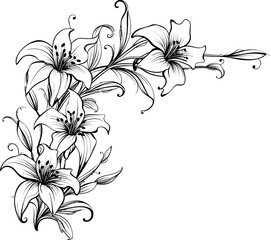 Lily flower corner border drawing