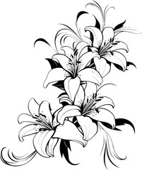 Lily flower corner border drawing