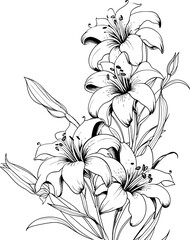 Lily flower corner border drawing