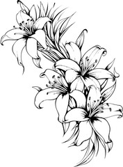 Lily flower corner border drawing