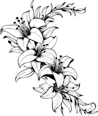 Lily flower corner border drawing