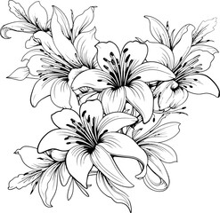 Lily flower corner border drawing