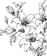 Lily flower corner border drawing