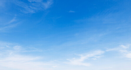 The sky is blue and clear with no clouds