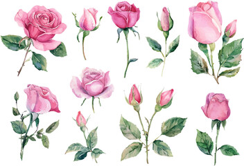 pink roses seamless pattern