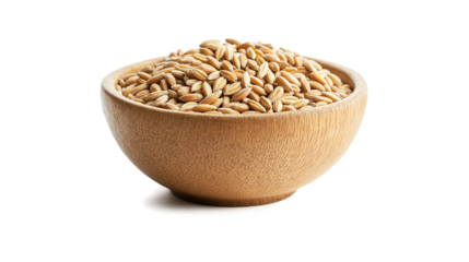 Wooden bowl of barley grains isolated on a white background