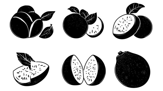 Collection of Jicama, vectorized food design