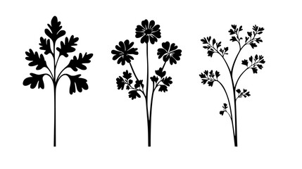Fototapeta premium Collection of Parsley continuous icon pattern, Parsley vectorized artwork