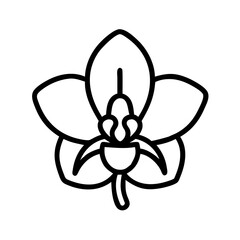 orchid flower icon, orchid flower line art - simple line art of orchid flower, perfect for orchid flower logos and icons and themed design