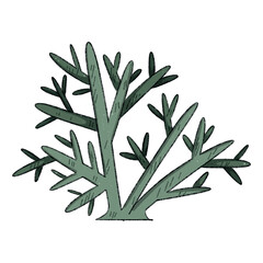 hand drawn colorful coral. under the sea collection element