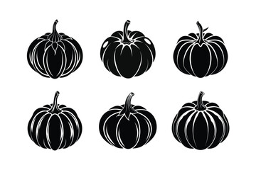Pattypan Squash (Cucurbita pepo) design, labeled silhouette vector illustration